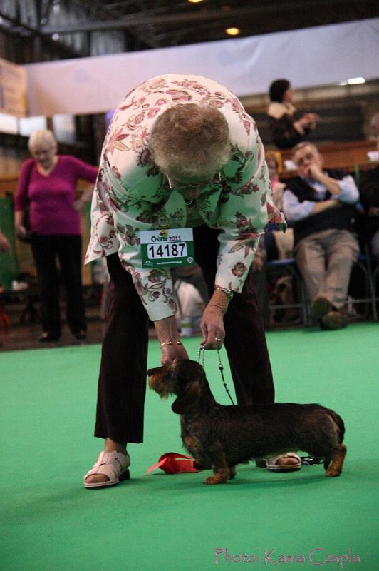 Crufts2011_2 1642.jpg